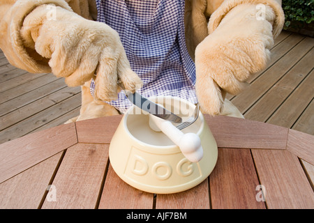 Dog cutting a bone Stock Photo