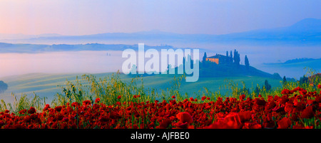 Tuscan Dawn with poppies Stock Photo