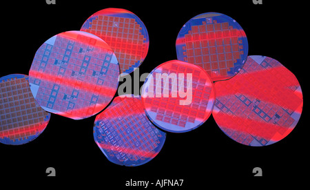 Silicon Wafers with Computer Circuits Stock Photo