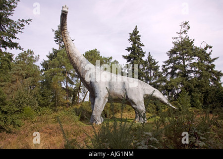 Diplodocus life reconstruction extinct herbivorous quadrupedal sauropod ...