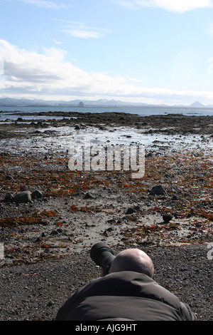 professional photographer lying in the shore shooting seabirds Stock Photo