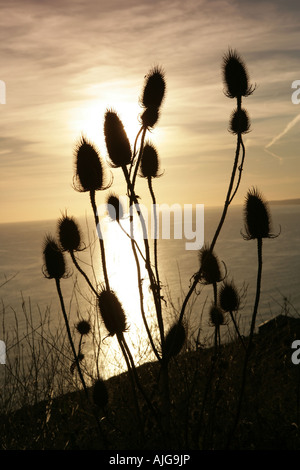 The old Chapel on Rame Head once as a lookout for smuggles over the sea ...