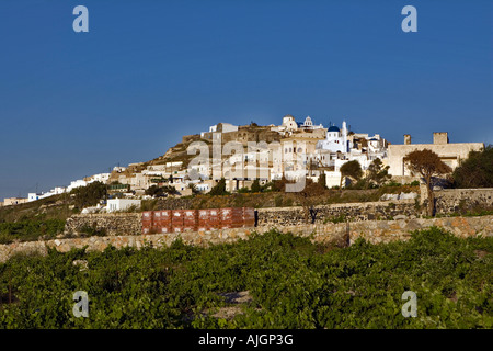 The hill ltop village of Pyrgos and grape vines S- antorini Greece Late afternoon Stock Photo
