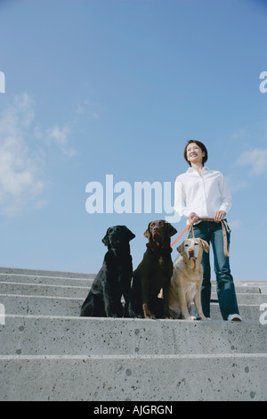 Young woman and Labrador retrievers Stock Photo