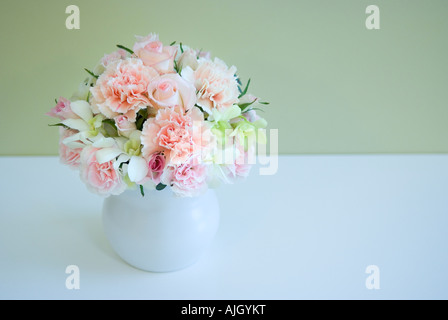 Carnations in vase Stock Photo