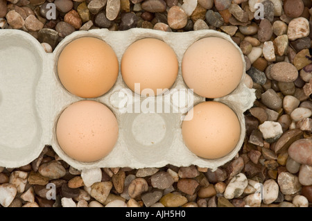 Open box for six eggs containing only five. One missing. Stock Photo