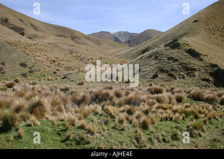 Lindis Pass golden tussock grass country South Island New Zealand Stock Photo