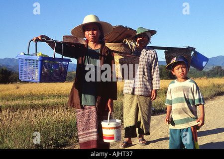 Near Kengtung people working in the field Stock Photo