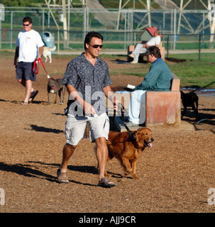 Redondo Beach Dog Walking Park Southern California USA Owners and their pet dogs exercise in the park Stock Photo