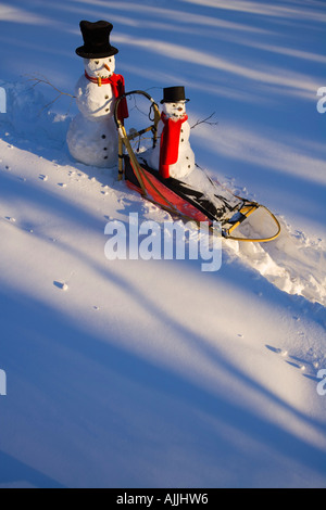 Large small snowman ride on dog sled in deep snow in afternoon Interior Fairbanks Alaska winter Stock Photo