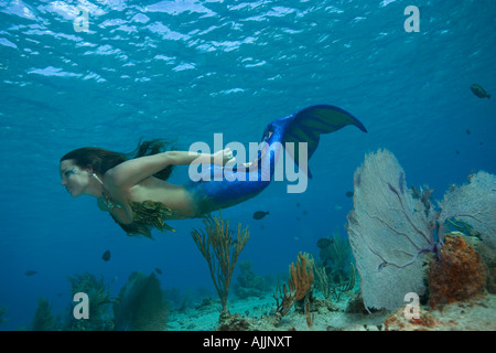 Mermaid swimming in shallow water offshore underwater at Cozumel, Mexico Stock Photo