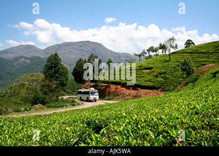 A bus carrying tourists arriving at the tea estate in Munnar, Kerala Stock Photo