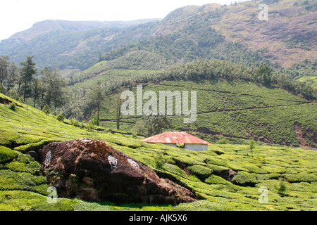A black rock with man-made pictures drawn on it amidst the picturesque green landscape at Munnar, Kerala, India Stock Photo