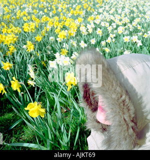 Woman in field of daffodils Stock Photo