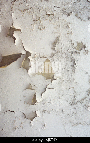 Peeling paint of a concrete hall ceiling on a social housing estate caused by damp. Stock Photo