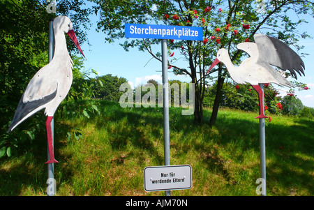 white stork (Ciconia ciconia), parking place for expectant mothers, sign: only for expectant parents, Germany Stock Photo