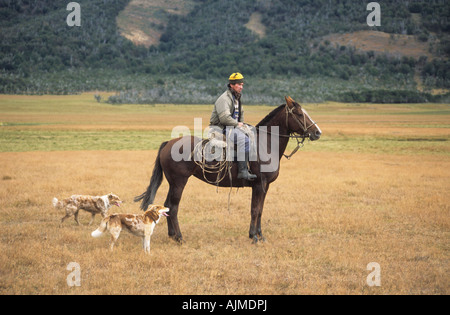 Gaucho on horseback and his dogs near El Calafate, Patagonia, Argentina Stock Photo