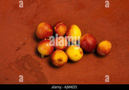 Wild figs outback Australia Stock Photo