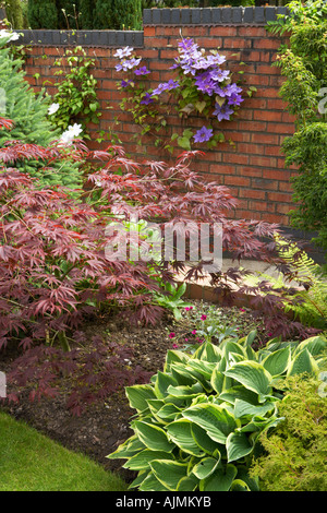 sheltered garden near brick wall Stock Photo