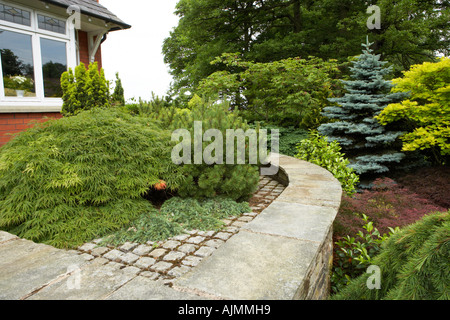 front garden with conifers and hard features Stock Photo