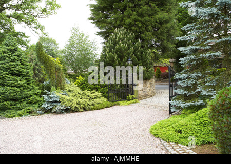 various conifers in garden Stock Photo