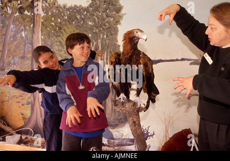 Students learning about bird of prey, Australia Stock Photo