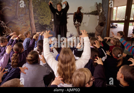 Students learning about bird of prey, Australia Stock Photo