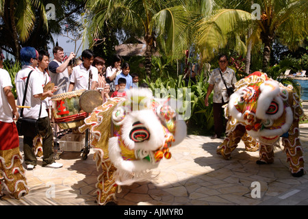 Chinese Malaysians perform the Southern Lion Dance on Chinese new year. Batu Ferringhi, Penang Island, Malaysia. Stock Photo