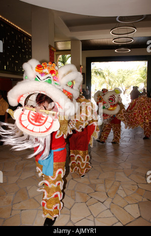 Chinese Malaysians perform the Southern Lion Dance on Chinese new year. Batu Ferringhi, Penang Island, Malaysia. Stock Photo