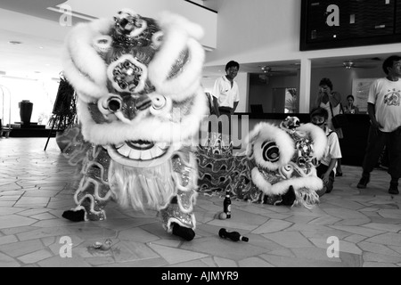 Chinese Malaysians perform the Southern Lion Dance on Chinese new year. Batu Ferringhi, Penang Island, Malaysia. Stock Photo