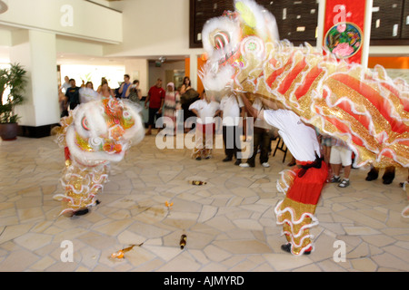 Chinese Malaysians perform the Southern Lion Dance on Chinese new year. Batu Ferringhi, Penang Island, Malaysia. Stock Photo