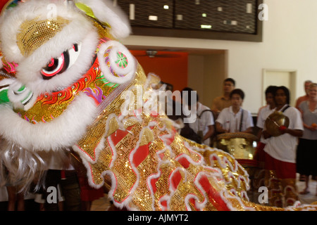 Chinese Malaysians perform the Southern Lion Dance on Chinese new year. Batu Ferringhi, Penang Island, Malaysia. Stock Photo