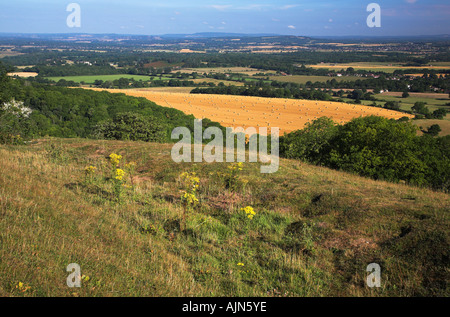 The fields of the Sussex countryside pictured from the southdowns above the village of Storrington West Sussex UK 2006 Stock Photo