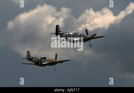 WW2 USAF MUSTANGS FLYING OVER CAMBS UK 2004 PIC BY JOHN ROBERTSON Stock Photo