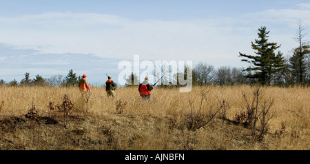 Three hunters cross a hilltop field while upland game hunting in New England. Stock Photo