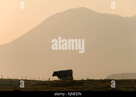 Dawn on the Connemara Mountains, Renvyle, County Galway, Ireland Stock Photo
