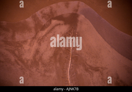 Patterns in tidal mudflats Australia Stock Photo