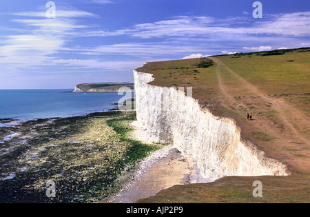 The chalk cliffs and shoreline of the Seven Sisters East Sussex Stock Photo