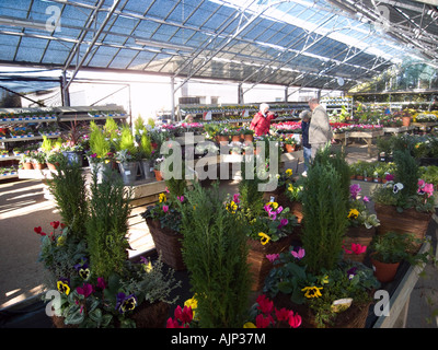 People buying plants in a UK garden centre Stock Photo