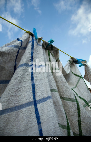 Tea-towels on a washing line. Stock Photo