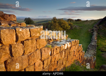 Hadrian's Wall at Walltown Northumberland National Park England Stock Photo