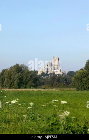 Ely Cathedral from fields Stock Photo - Alamy