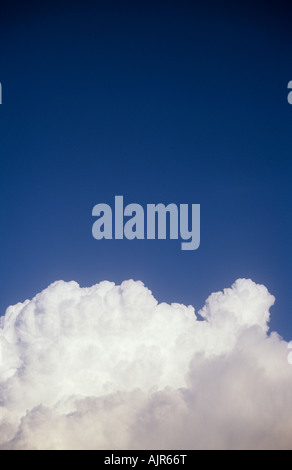 White and grey cumulus storm clouds gathering and billowing against clear blue sky Stock Photo