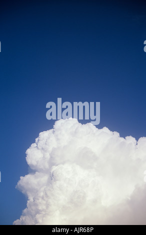 White and grey cumulus storm clouds gathering and billowing against clear blue sky Stock Photo