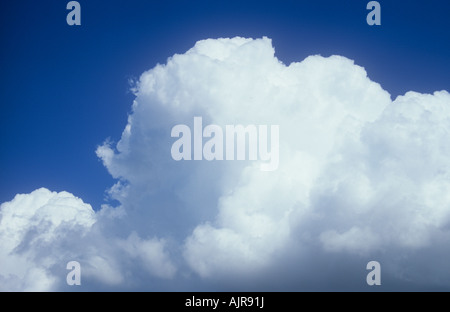 White and grey cumulus storm clouds gathering and billowing against clear blue sky Stock Photo