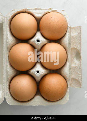Carton of eggs - high end Hasselblad 61mb digital image Stock Photo
