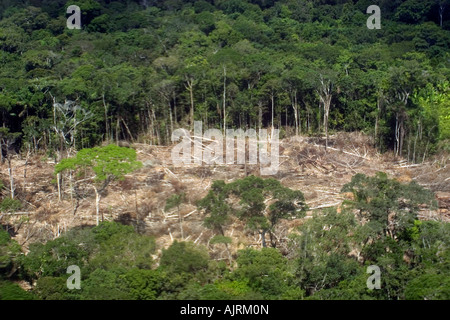 Patch of destroyed rain forest aerial view Amazonas Brazil Stock Photo