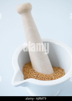 Mustard seeds with mortar and pestle - high end Hasselblad 61mb digital image Stock Photo