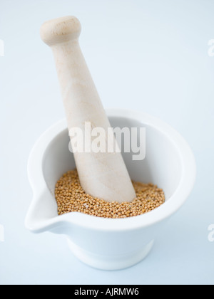Mustard seeds with mortar and pestle - high end Hasselblad 61mb digital image Stock Photo