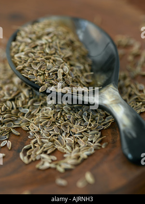 Dill seeds - high end Hasselblad 61mb digital file Stock Photo